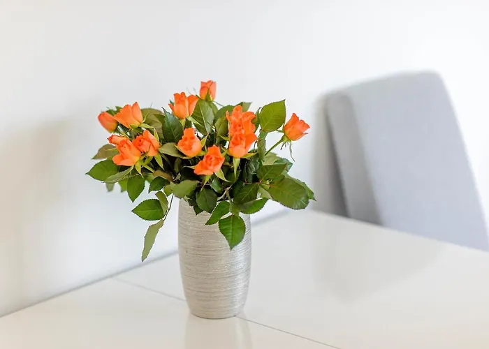 Appartement Apartman Ivana *